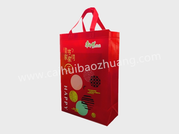 彩匯包裝 無紡布環保手提袋  手提袋生產廠家